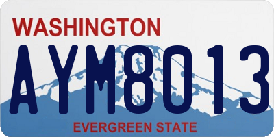 WA license plate AYM8013