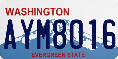 WA license plate AYM8016