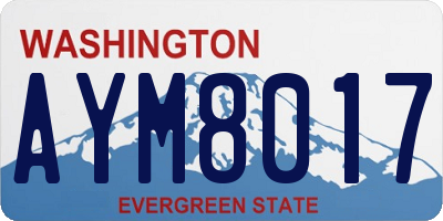 WA license plate AYM8017