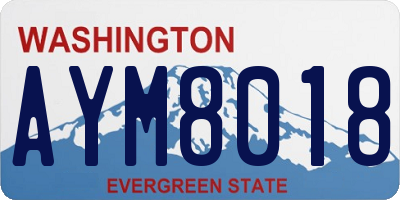 WA license plate AYM8018