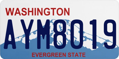 WA license plate AYM8019