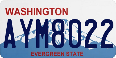 WA license plate AYM8022