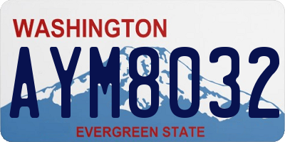 WA license plate AYM8032