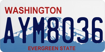 WA license plate AYM8036