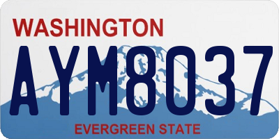 WA license plate AYM8037