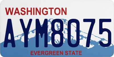 WA license plate AYM8075