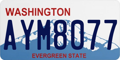 WA license plate AYM8077