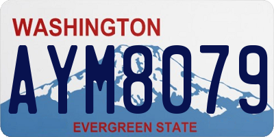 WA license plate AYM8079