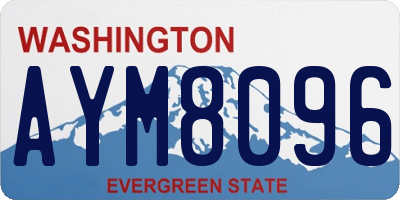 WA license plate AYM8096
