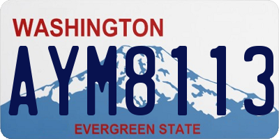 WA license plate AYM8113