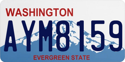 WA license plate AYM8159