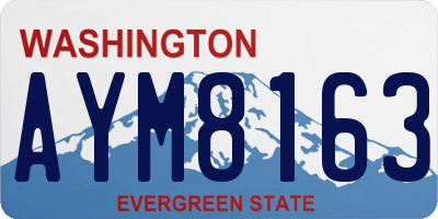 WA license plate AYM8163