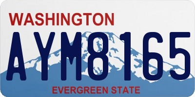 WA license plate AYM8165