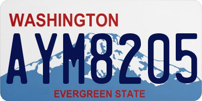 WA license plate AYM8205