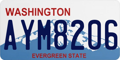WA license plate AYM8206