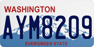 WA license plate AYM8209