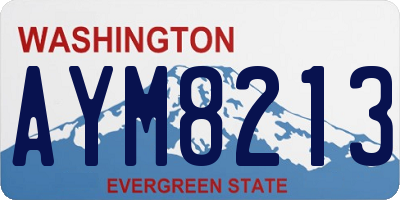 WA license plate AYM8213