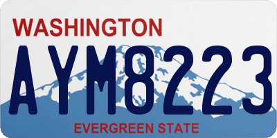 WA license plate AYM8223