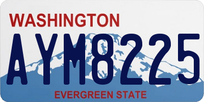 WA license plate AYM8225