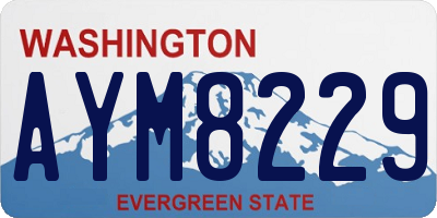 WA license plate AYM8229