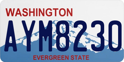 WA license plate AYM8230