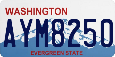 WA license plate AYM8250