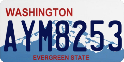 WA license plate AYM8253