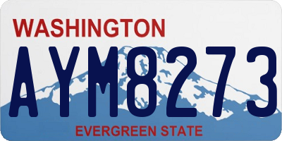 WA license plate AYM8273