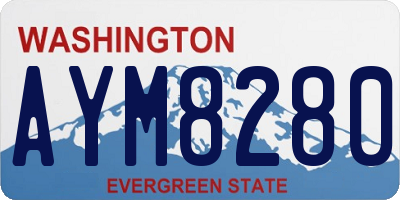 WA license plate AYM8280