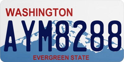 WA license plate AYM8288