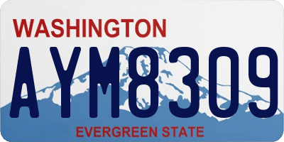 WA license plate AYM8309