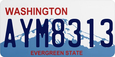 WA license plate AYM8313