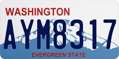 WA license plate AYM8317