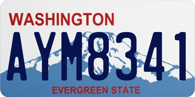 WA license plate AYM8341
