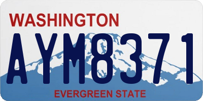 WA license plate AYM8371