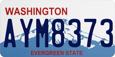 WA license plate AYM8373