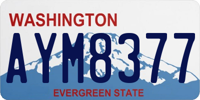 WA license plate AYM8377