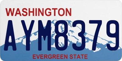 WA license plate AYM8379