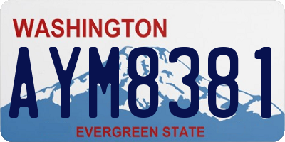 WA license plate AYM8381