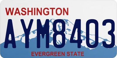 WA license plate AYM8403