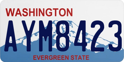 WA license plate AYM8423
