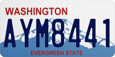 WA license plate AYM8441