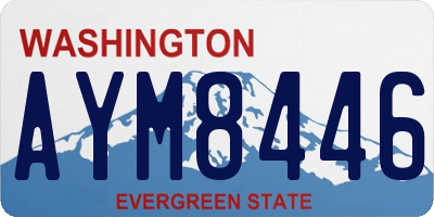 WA license plate AYM8446