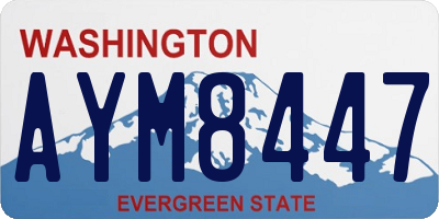 WA license plate AYM8447