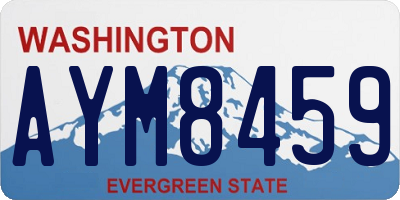 WA license plate AYM8459