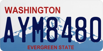 WA license plate AYM8480