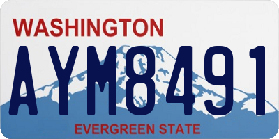 WA license plate AYM8491