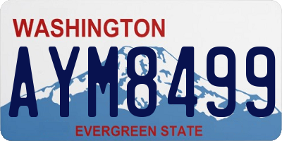 WA license plate AYM8499
