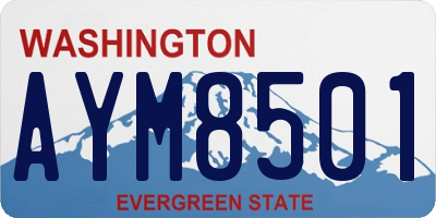 WA license plate AYM8501