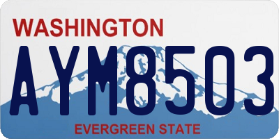 WA license plate AYM8503